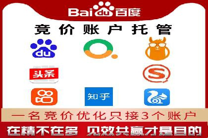 企业SEM服务实战案例解析